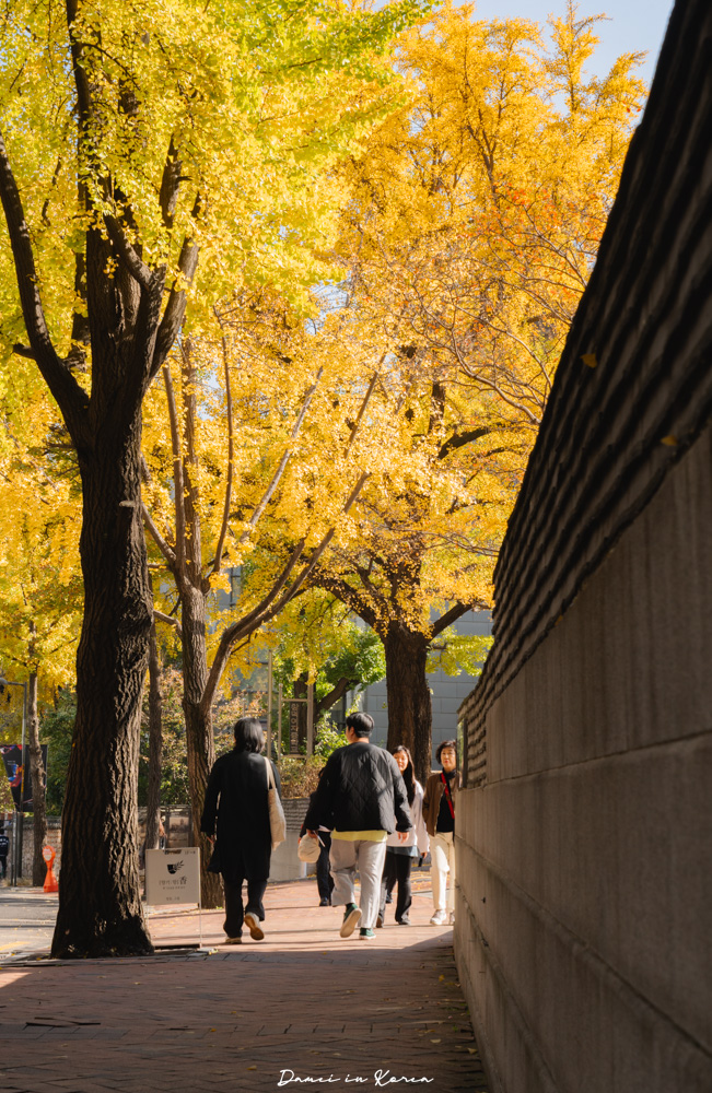 2025首爾賞銀杏必去8個景點,療癒的秋日浪漫之路 - 第8張圖