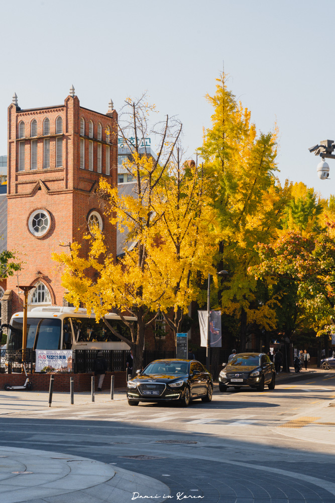 2025首爾賞銀杏必去8個景點,療癒的秋日浪漫之路 - 第7張圖