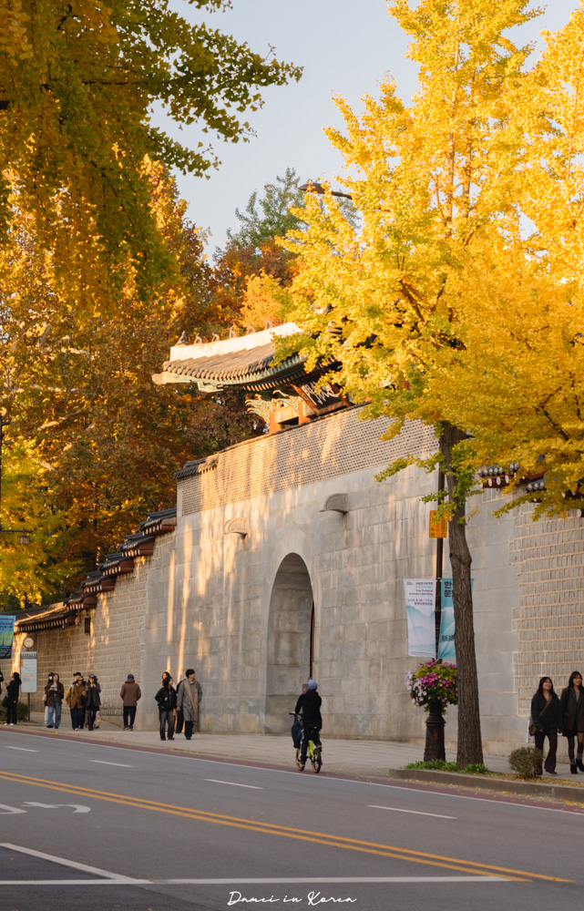 2025首爾賞銀杏必去8個景點,療癒的秋日浪漫之路 - 第5張圖