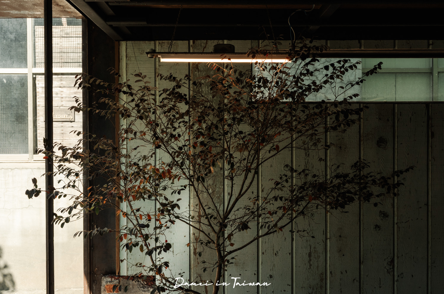 新竹關西咖啡廳推薦！Fudu cafe’福杜咖啡-藏在橘子園裡的質感咖啡廳，招牌是冰橙美式