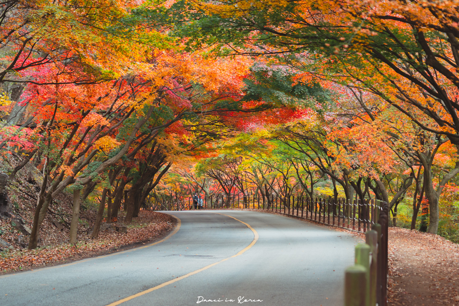 2026韓國內藏山賞楓一日遊,韓國最美楓葉山 - 第11張圖 2026韓國內藏山賞楓一日遊,韓國最美楓葉山