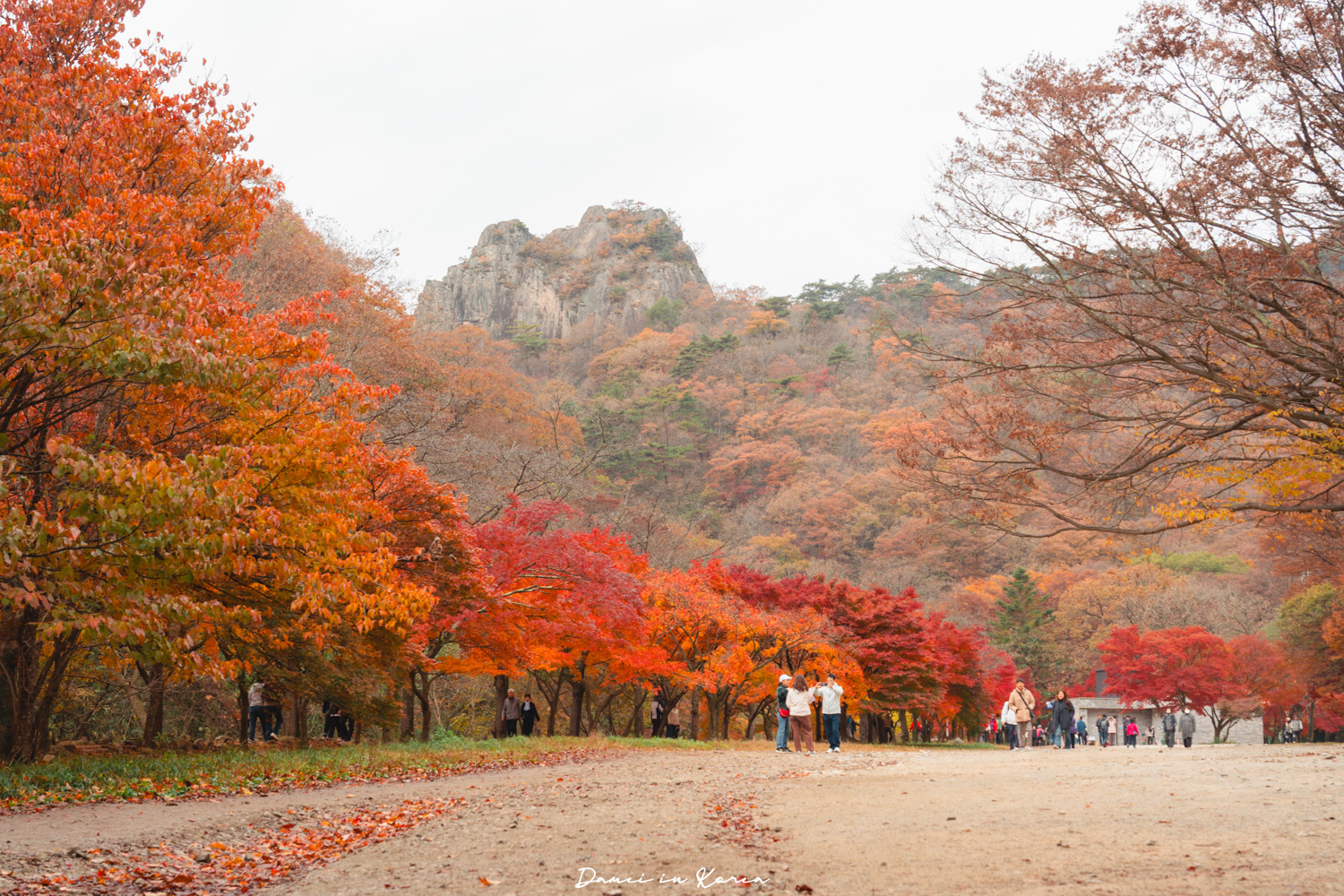 2026韓國內藏山賞楓一日遊,韓國最美楓葉山 - 第14張圖 2026韓國內藏山賞楓一日遊,韓國最美楓葉山