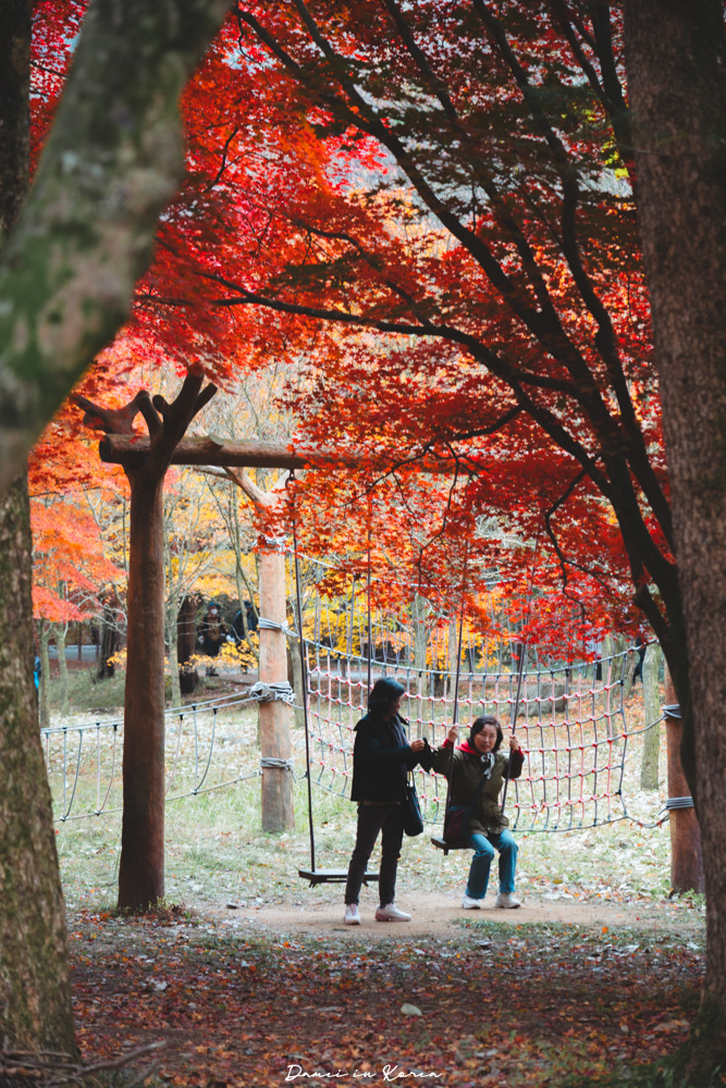 2026韓國內藏山賞楓一日遊,韓國最美楓葉山 - 第16張圖 2026韓國內藏山賞楓一日遊,韓國最美楓葉山
