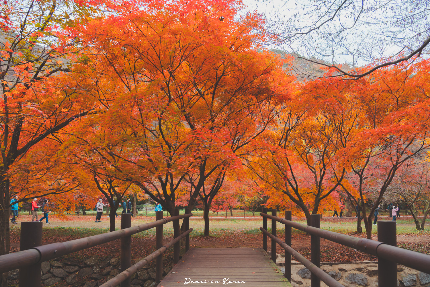 2026韓國內藏山賞楓一日遊,韓國最美楓葉山 - 第21張圖 2026韓國內藏山賞楓一日遊,韓國最美楓葉山