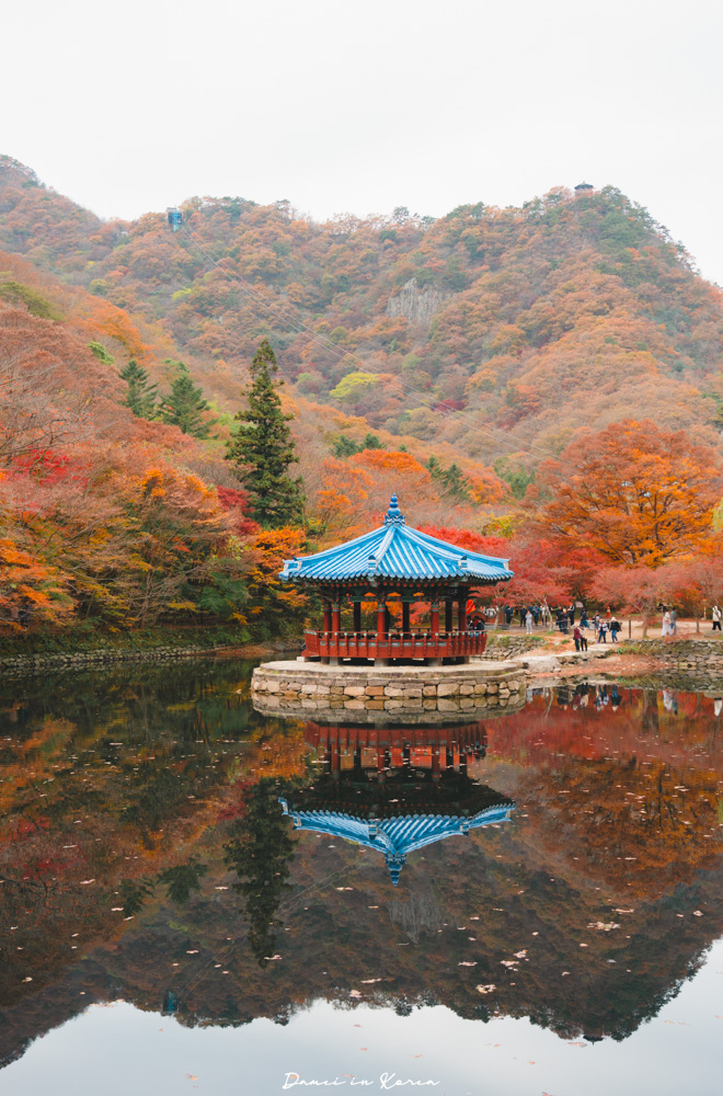 2026韓國內藏山賞楓一日遊,韓國最美楓葉山 - 第23張圖 2026韓國內藏山賞楓一日遊,韓國最美楓葉山