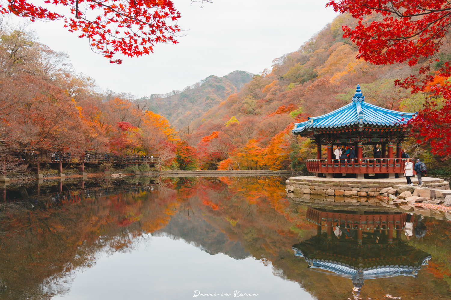 2026韓國內藏山賞楓一日遊,韓國最美楓葉山 - 第22張圖 2026韓國內藏山賞楓一日遊,韓國最美楓葉山