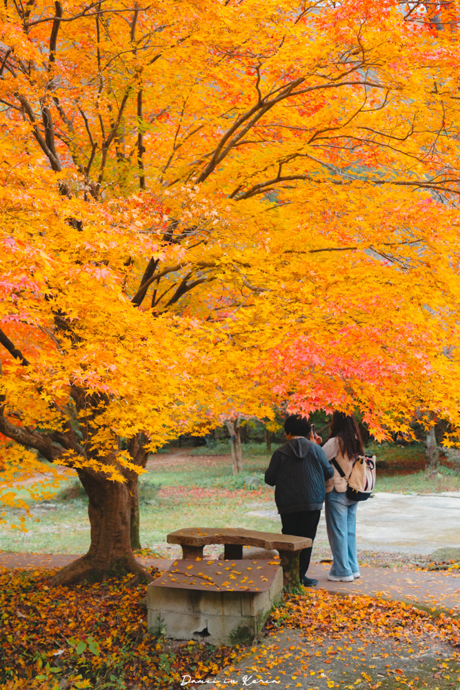 2026韓國內藏山賞楓一日遊,韓國最美楓葉山 - 第20張圖 2026韓國內藏山賞楓一日遊,韓國最美楓葉山