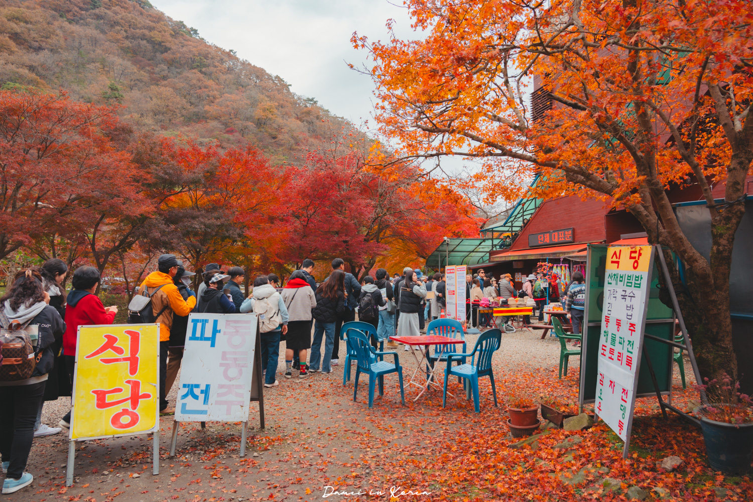 2026韓國內藏山賞楓一日遊,韓國最美楓葉山 - 第27張圖 2026韓國內藏山賞楓一日遊,韓國最美楓葉山