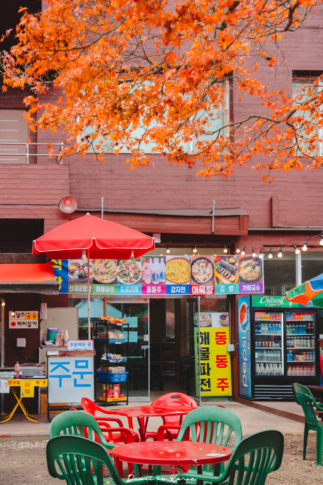 2026韓國內藏山賞楓一日遊,韓國最美楓葉山 - 第28張圖 2026韓國內藏山賞楓一日遊,韓國最美楓葉山