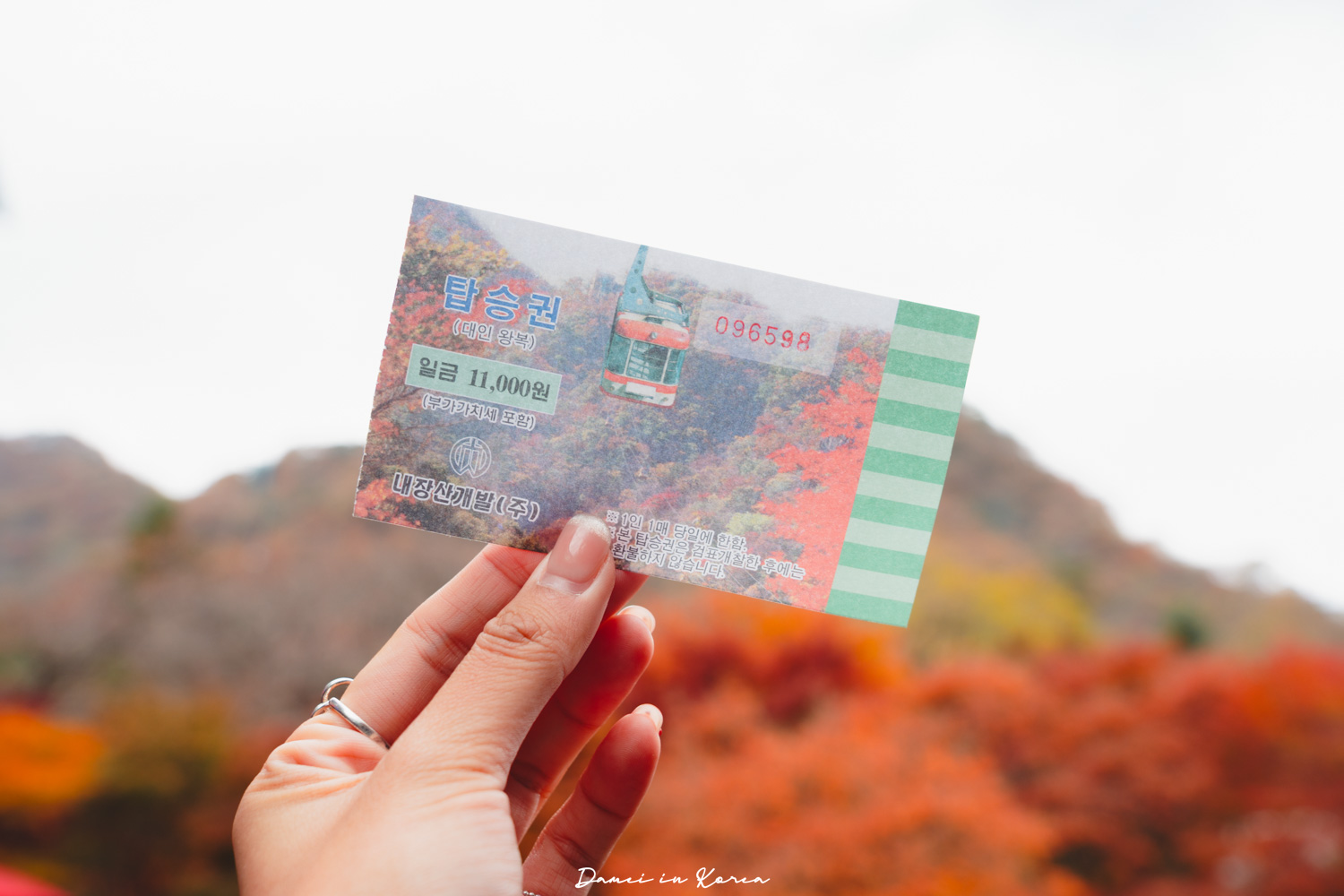 2026韓國內藏山賞楓一日遊,韓國最美楓葉山 - 第26張圖 2026韓國內藏山賞楓一日遊,韓國最美楓葉山