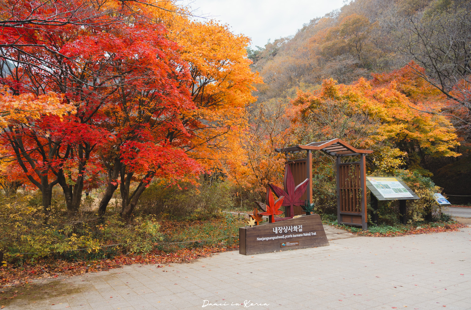 2026韓國內藏山賞楓一日遊,韓國最美楓葉山 - 第2張圖 2026韓國內藏山賞楓一日遊,韓國最美楓葉山