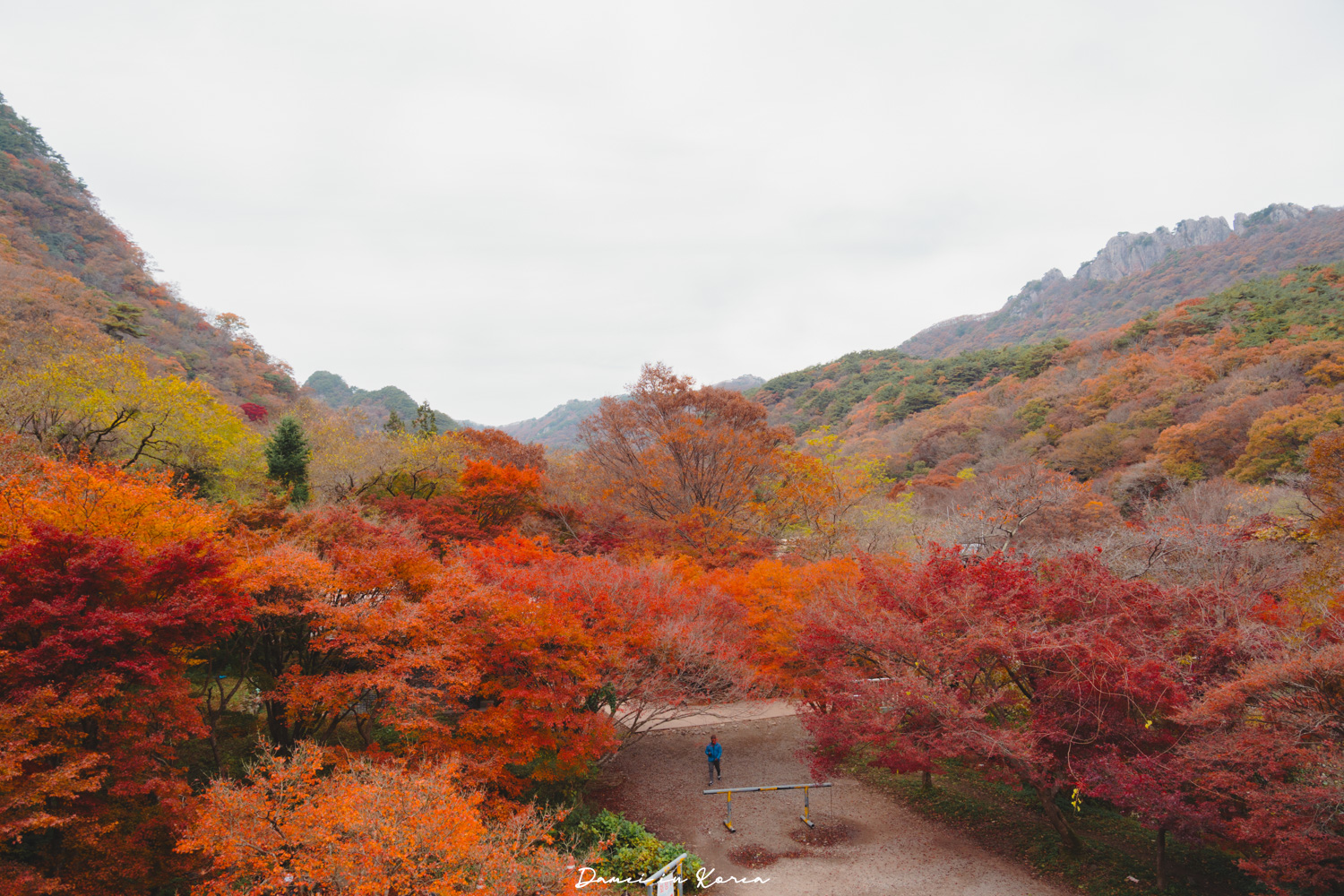 2026韓國內藏山賞楓一日遊,韓國最美楓葉山 - 第31張圖 2026韓國內藏山賞楓一日遊,韓國最美楓葉山