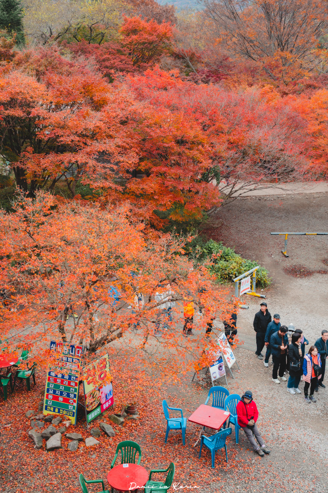 2026韓國內藏山賞楓一日遊,韓國最美楓葉山 - 第29張圖 2026韓國內藏山賞楓一日遊,韓國最美楓葉山