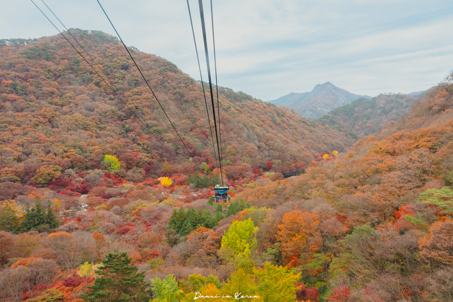 2026韓國內藏山賞楓一日遊,韓國最美楓葉山 - 第33張圖 2026韓國內藏山賞楓一日遊,韓國最美楓葉山