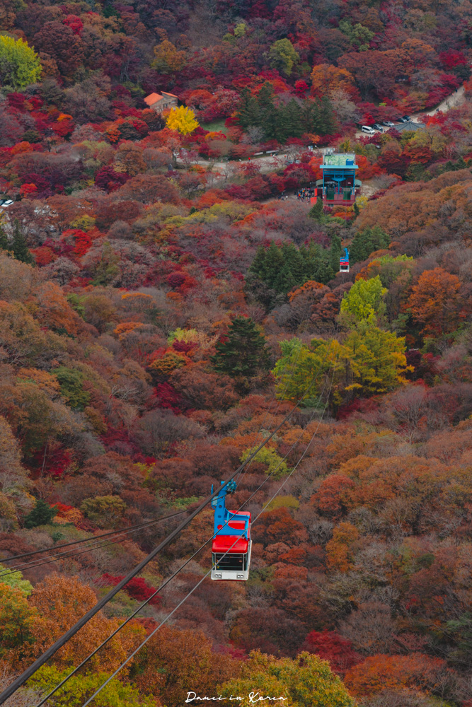 2026韓國內藏山賞楓一日遊,韓國最美楓葉山 - 第35張圖 2026韓國內藏山賞楓一日遊,韓國最美楓葉山