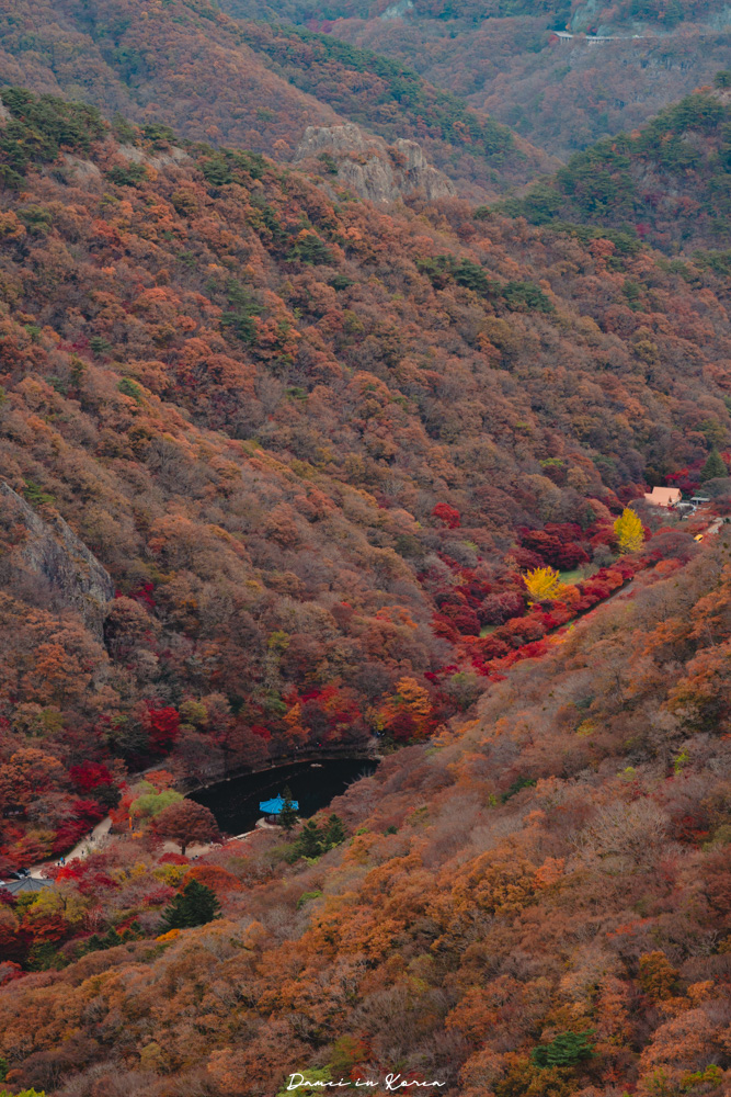 2026韓國內藏山賞楓一日遊,韓國最美楓葉山 - 第36張圖 2026韓國內藏山賞楓一日遊,韓國最美楓葉山