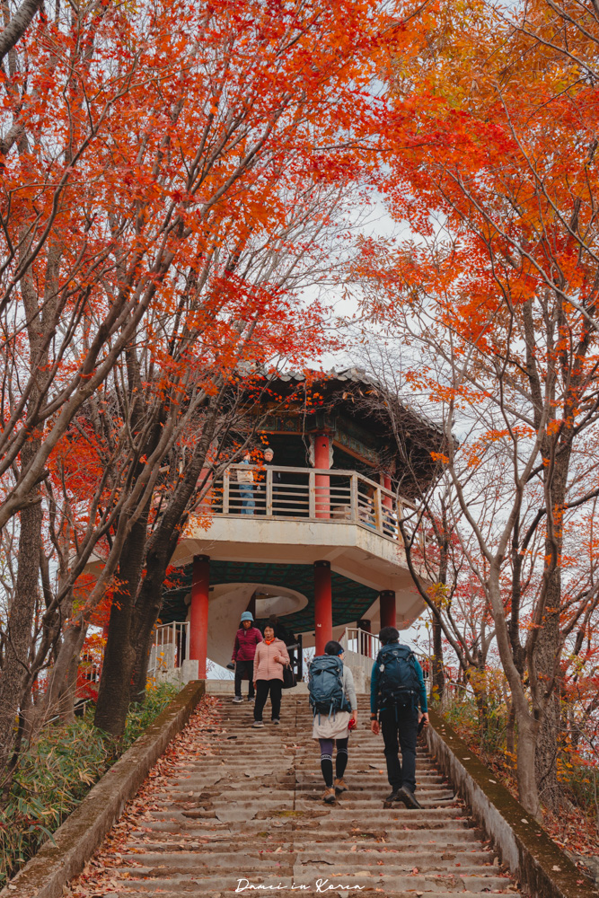 2026韓國內藏山賞楓一日遊,韓國最美楓葉山 - 第37張圖 2026韓國內藏山賞楓一日遊,韓國最美楓葉山