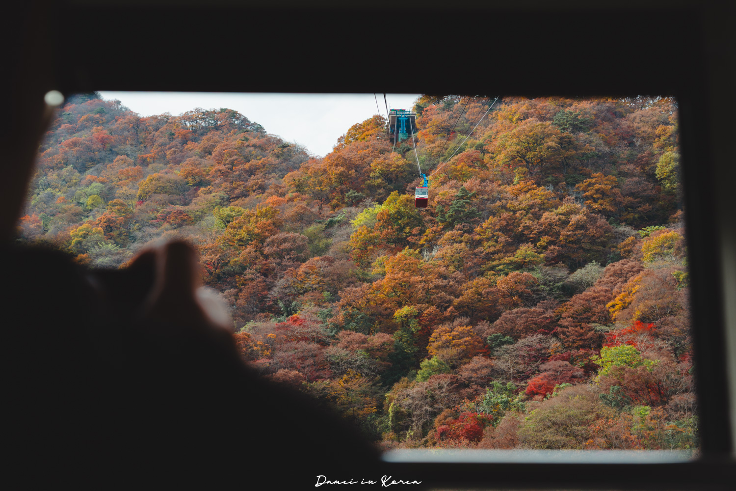 2026韓國內藏山賞楓一日遊,韓國最美楓葉山 - 第40張圖 2026韓國內藏山賞楓一日遊,韓國最美楓葉山