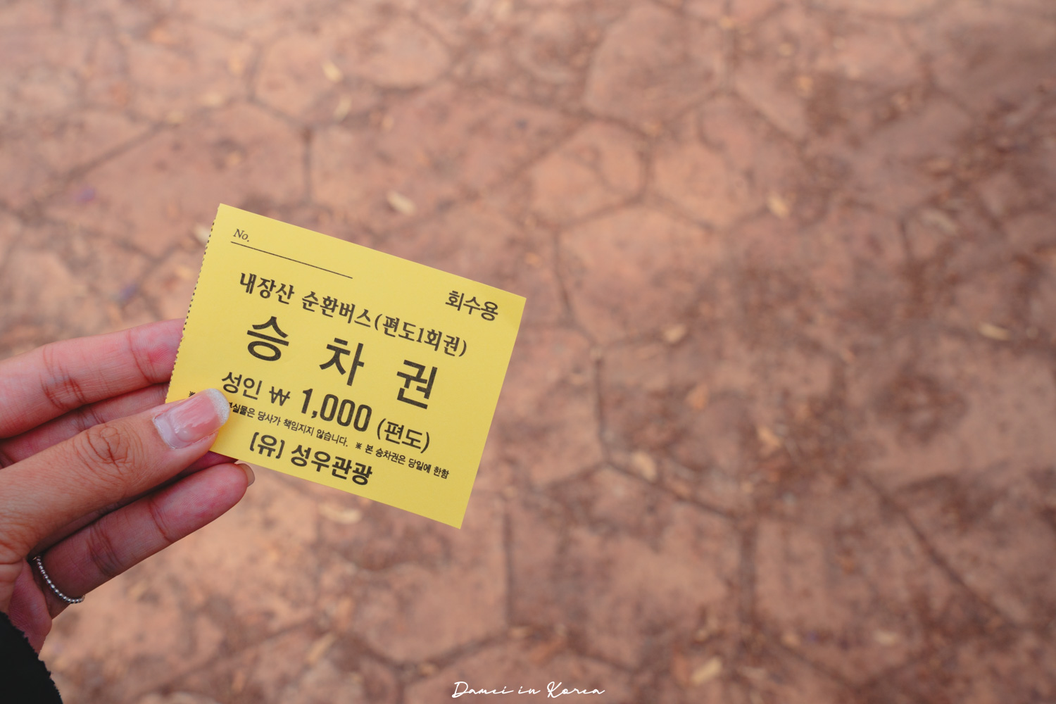 2026韓國內藏山賞楓一日遊,韓國最美楓葉山 - 第6張圖 2026韓國內藏山賞楓一日遊,韓國最美楓葉山