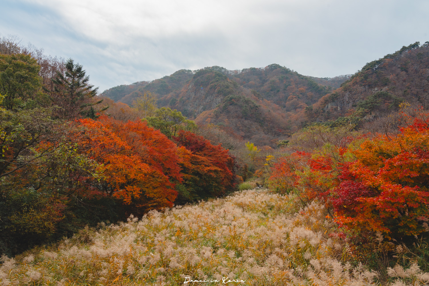 2026韓國內藏山賞楓一日遊,韓國最美楓葉山 - 第5張圖 2026韓國內藏山賞楓一日遊,韓國最美楓葉山