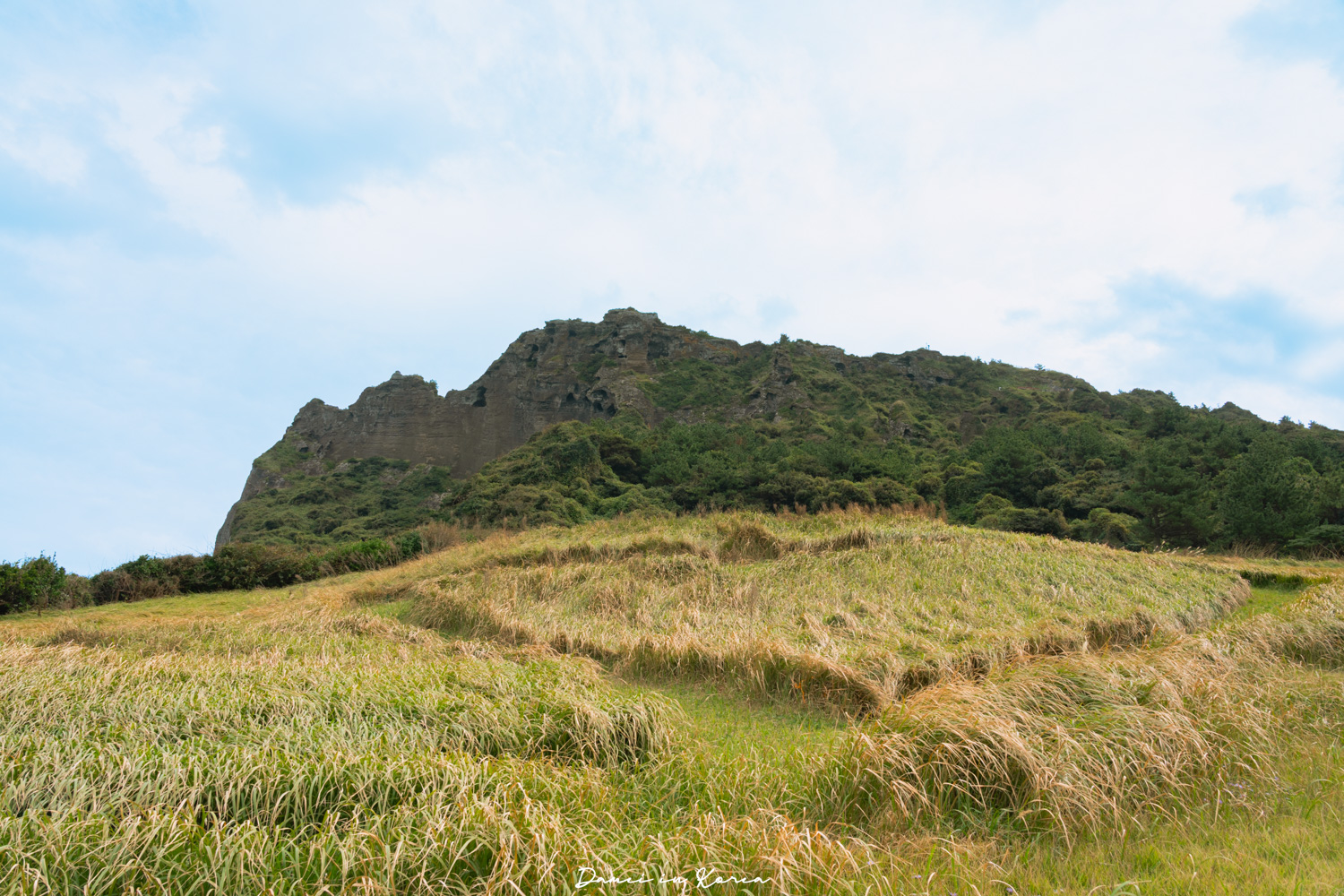 濟州島景點「城山日出峰」登上世界自然遺產,門票值得嗎?濟州島最早看到日出的地方! - 第10張圖 濟州島景點「城山日出峰」登上世界自然遺產,門票值得嗎?濟州島最早看到日出的地方!