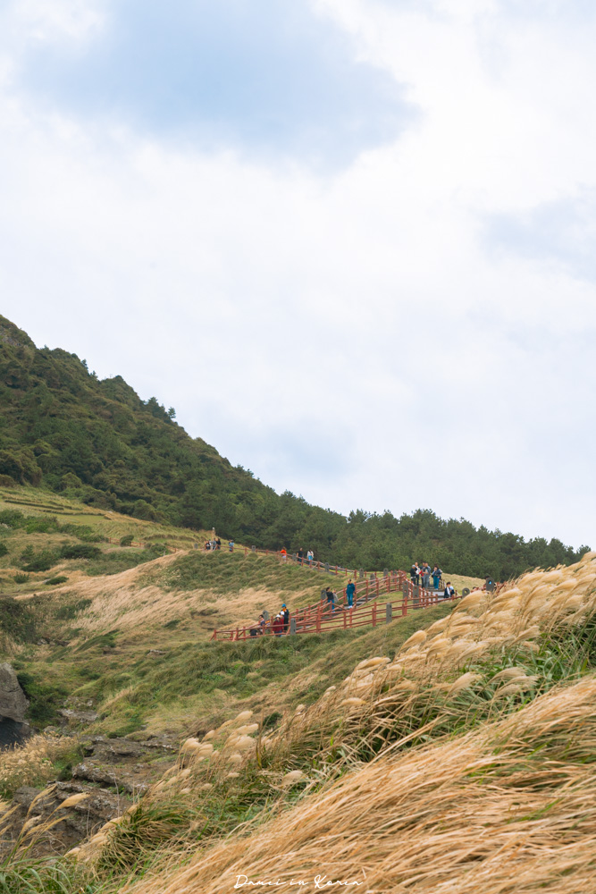 濟州島景點「城山日出峰」登上世界自然遺產,門票值得嗎?濟州島最早看到日出的地方! - 第16張圖 濟州島景點「城山日出峰」登上世界自然遺產,門票值得嗎?濟州島最早看到日出的地方!