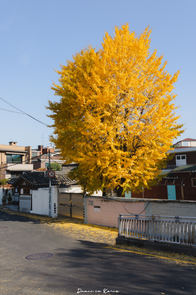 WeRide首爾觀光電車體驗,獨旅人也能玩,用不同方式深度認識首爾! - 第19張圖