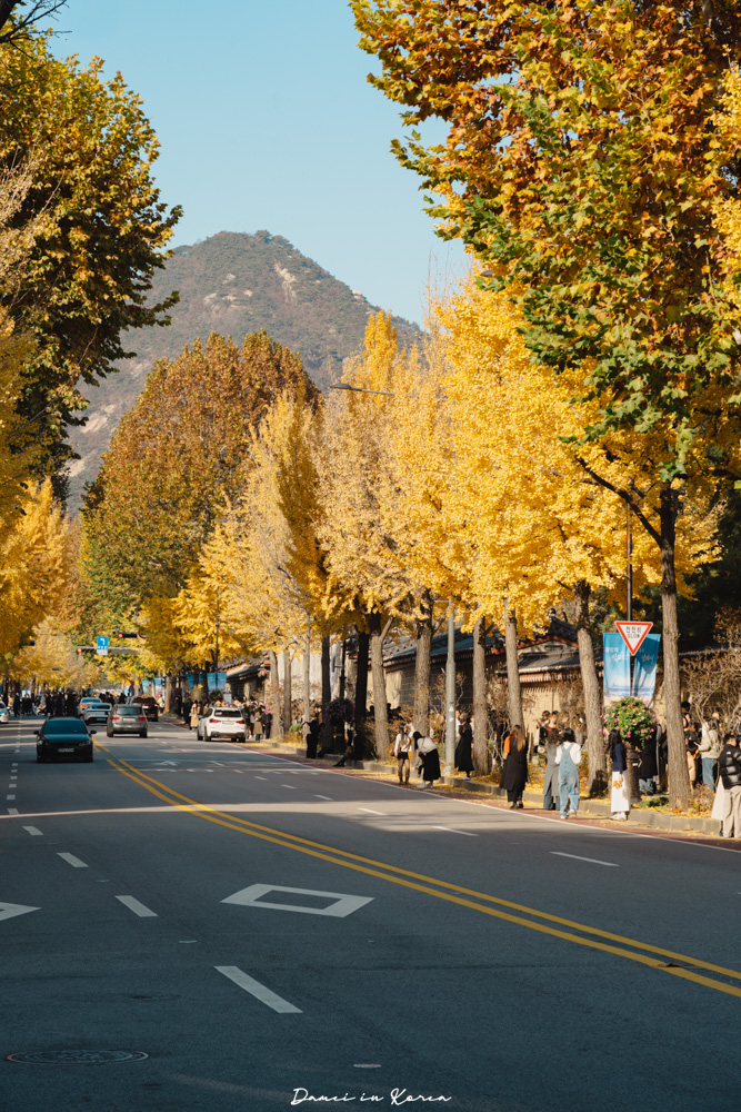 WeRide首爾觀光電車體驗,獨旅人也能玩,用不同方式深度認識首爾! - 第23張圖