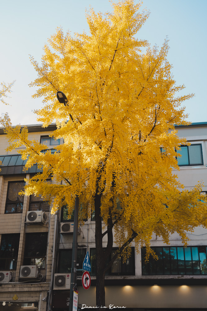 WeRide首爾觀光電車體驗,獨旅人也能玩,用不同方式深度認識首爾! - 第16張圖