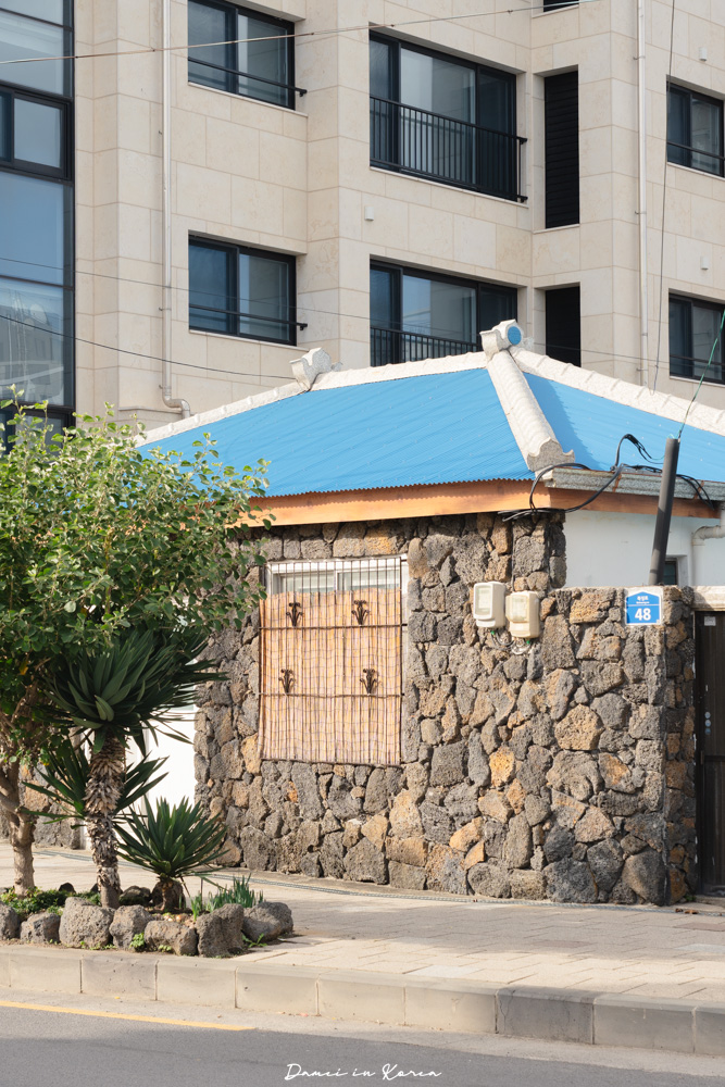 濟州機場美食推薦！DOTOREE Kitchen橡子廚房-青橘蕎麥冷麵配上特製豆皮壽司，連韓國人也力推的熱門餐廳