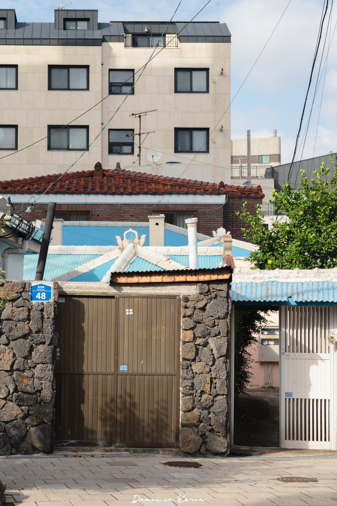 濟州機場美食推薦！DOTOREE Kitchen橡子廚房-青橘蕎麥冷麵配上特製豆皮壽司，連韓國人也力推的熱門餐廳