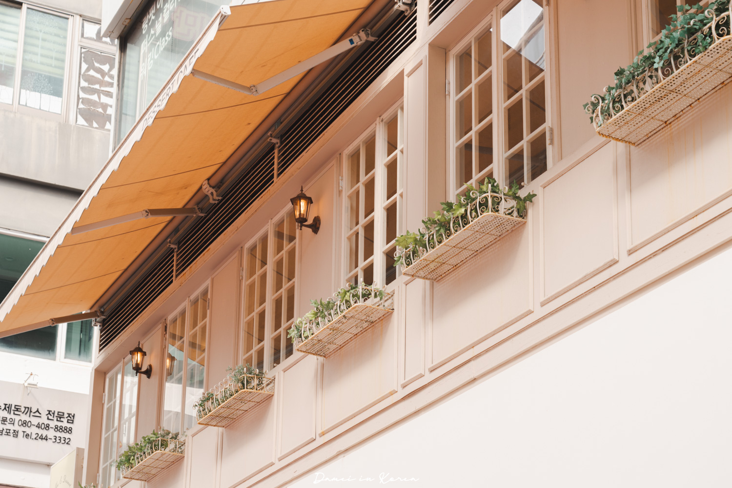 釜山南浦咖啡廳推薦!Top floor탑플로어-草莓鮮奶油蛋糕清爽不膩口，法式風格空間又好拍照