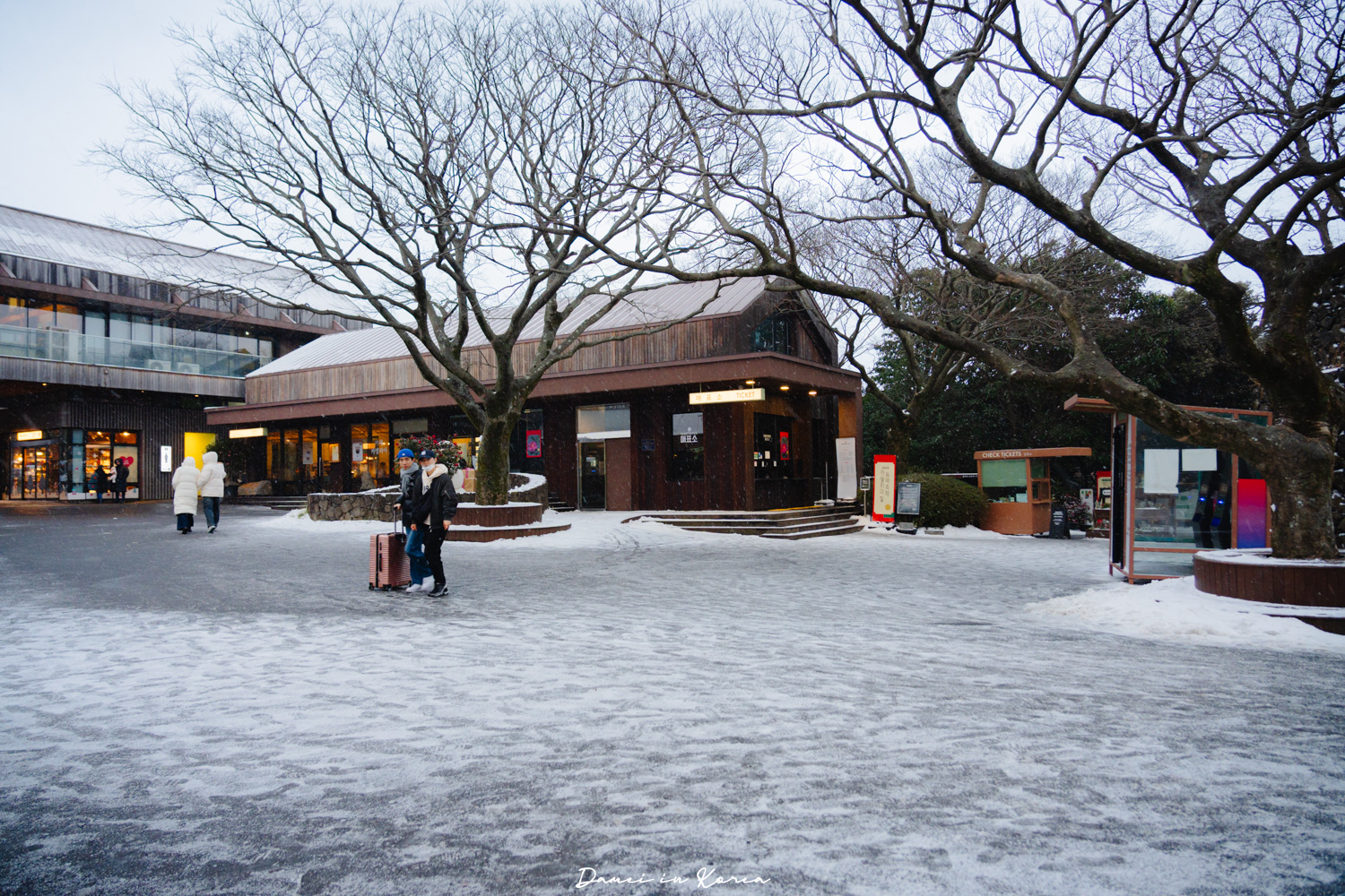 濟州島山茶花之丘，值得去嗎？佔地6萬坪的超大花園，四季都可以來追花！