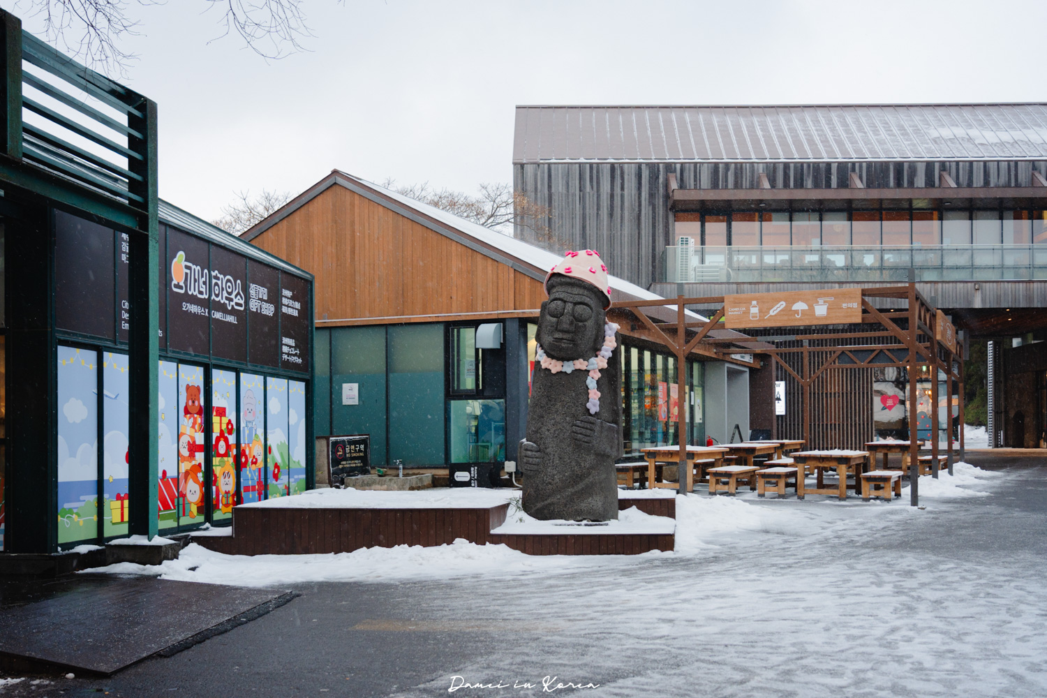 濟州島山茶花之丘，值得去嗎？佔地6萬坪的超大花園，四季都可以來追花！