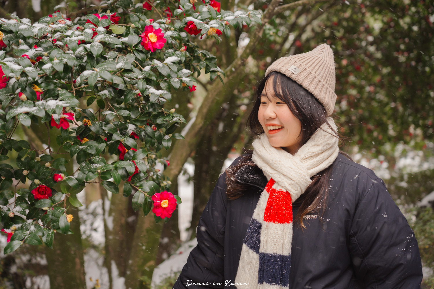 濟州島山茶花之丘，值得去嗎？佔地6萬坪的超大花園，四季都可以來追花！