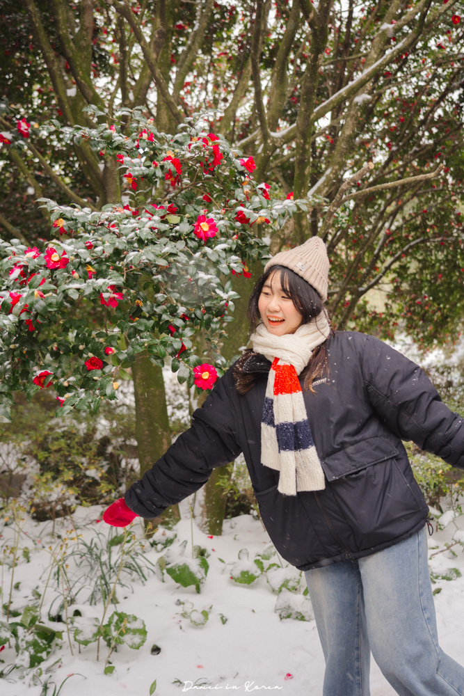 濟州島山茶花之丘，值得去嗎？佔地6萬坪的超大花園，四季都可以來追花！
