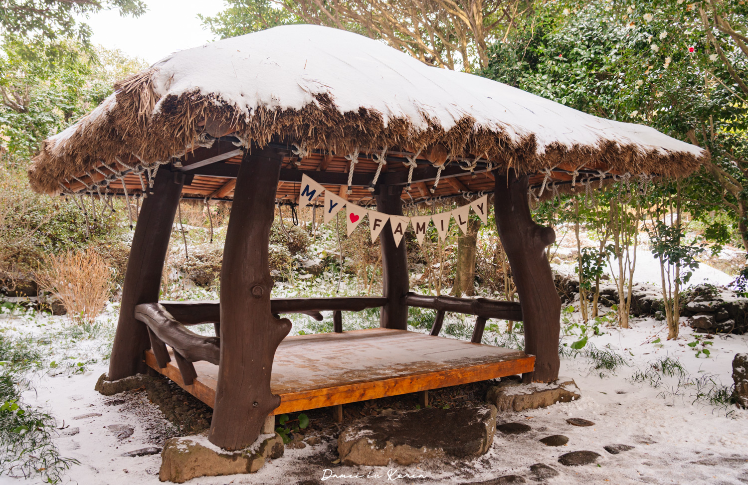 濟州島山茶花之丘，值得去嗎？佔地6萬坪的超大花園，四季都可以來追花！