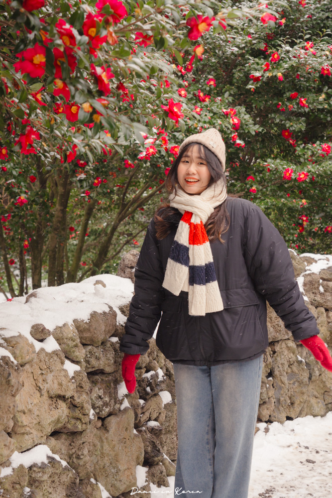 濟州島山茶花之丘，值得去嗎？佔地6萬坪的超大花園，四季都可以來追花！