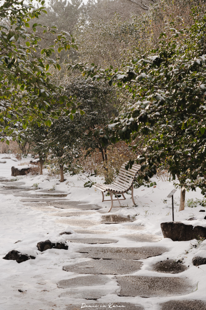 濟州島山茶花之丘，值得去嗎？佔地6萬坪的超大花園，四季都可以來追花！