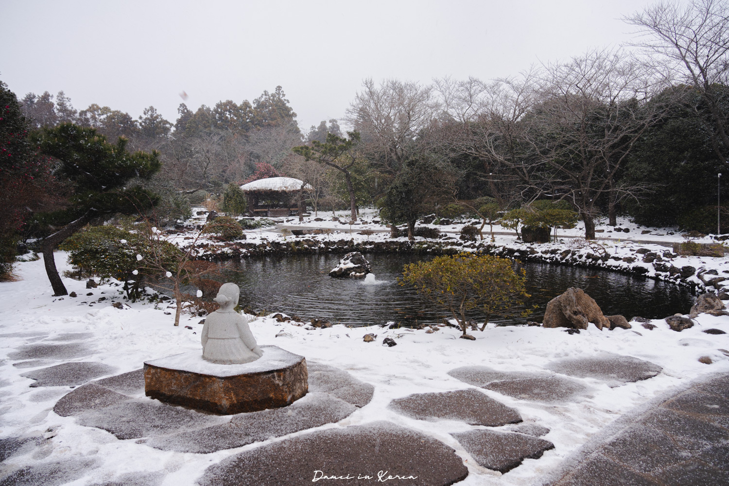 濟州島山茶花之丘，值得去嗎？佔地6萬坪的超大花園，四季都可以來追花！