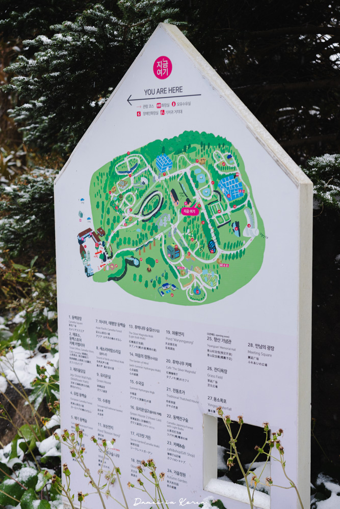 濟州島山茶花之丘，值得去嗎？佔地6萬坪的超大花園，四季都可以來追花！