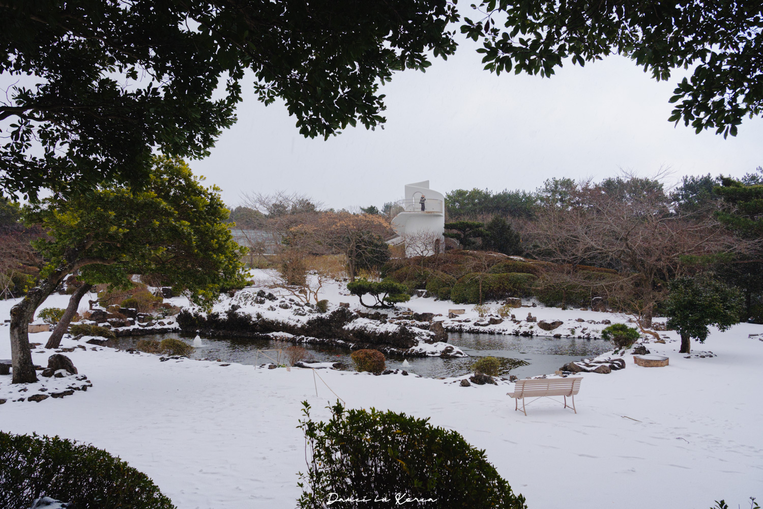 濟州島山茶花之丘，值得去嗎？佔地6萬坪的超大花園，四季都可以來追花！