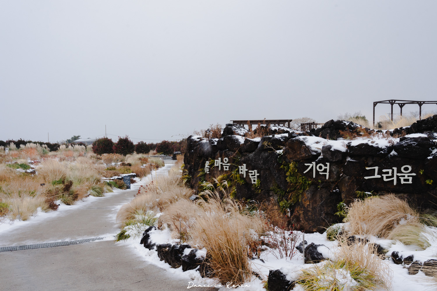 濟州島山茶花之丘，值得去嗎？佔地6萬坪的超大花園，四季都可以來追花！