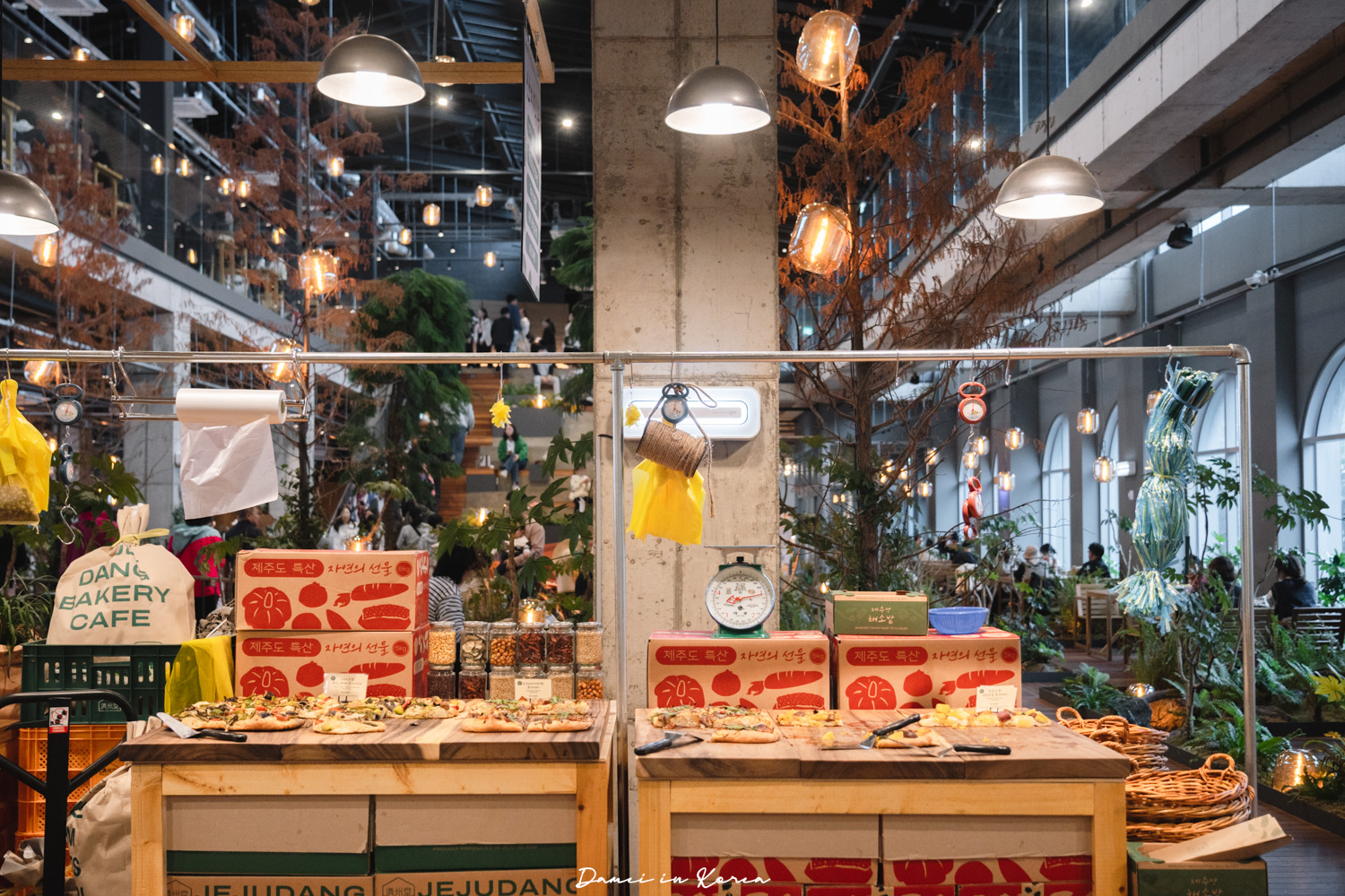 濟州大型咖啡廳推薦!濟州堂 Jejudang Bakery Café-逼真的農作物麵包,宛如走進農園的室內空間 - 第17張圖 濟州大型咖啡廳推薦!濟州堂 Jejudang Bakery Café-逼真的農作物麵包,宛如走進農園的室內空間