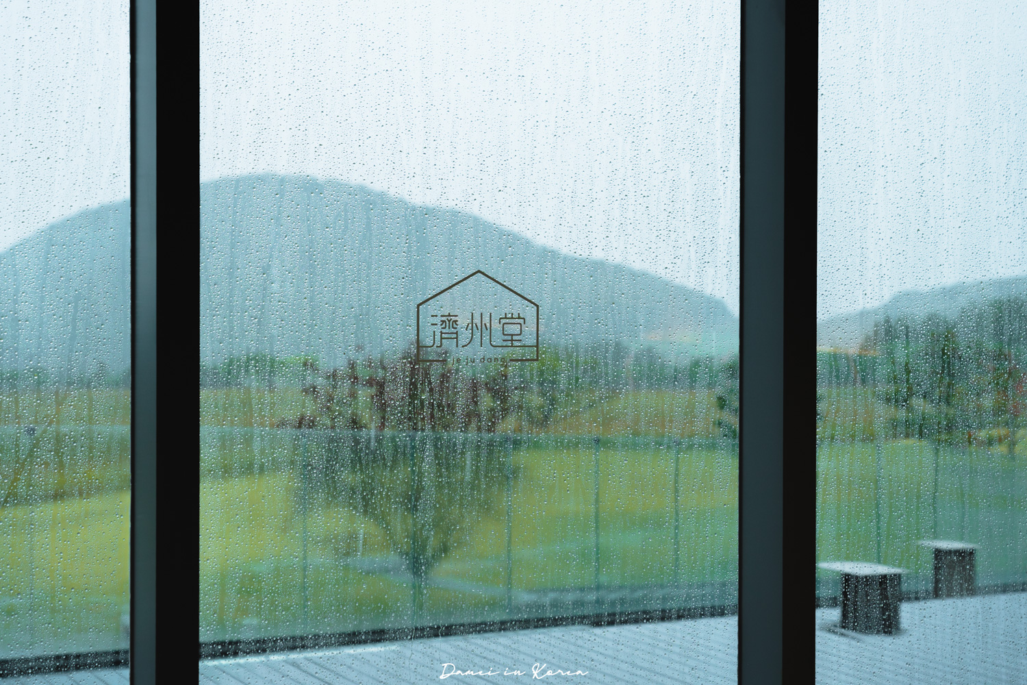 濟州大型咖啡廳推薦!濟州堂 Jejudang Bakery Café-逼真的農作物麵包,宛如走進農園的室內空間 - 第35張圖 濟州大型咖啡廳推薦!濟州堂 Jejudang Bakery Café-逼真的農作物麵包,宛如走進農園的室內空間