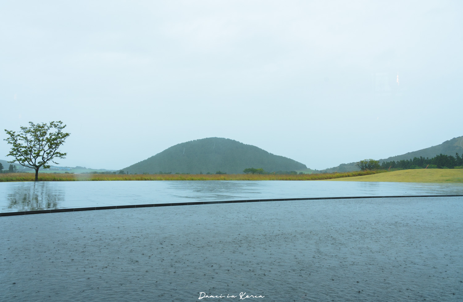 濟州大型咖啡廳推薦!濟州堂 Jejudang Bakery Café-逼真的農作物麵包,宛如走進農園的室內空間 - 第6張圖 濟州大型咖啡廳推薦!濟州堂 Jejudang Bakery Café-逼真的農作物麵包,宛如走進農園的室內空間
