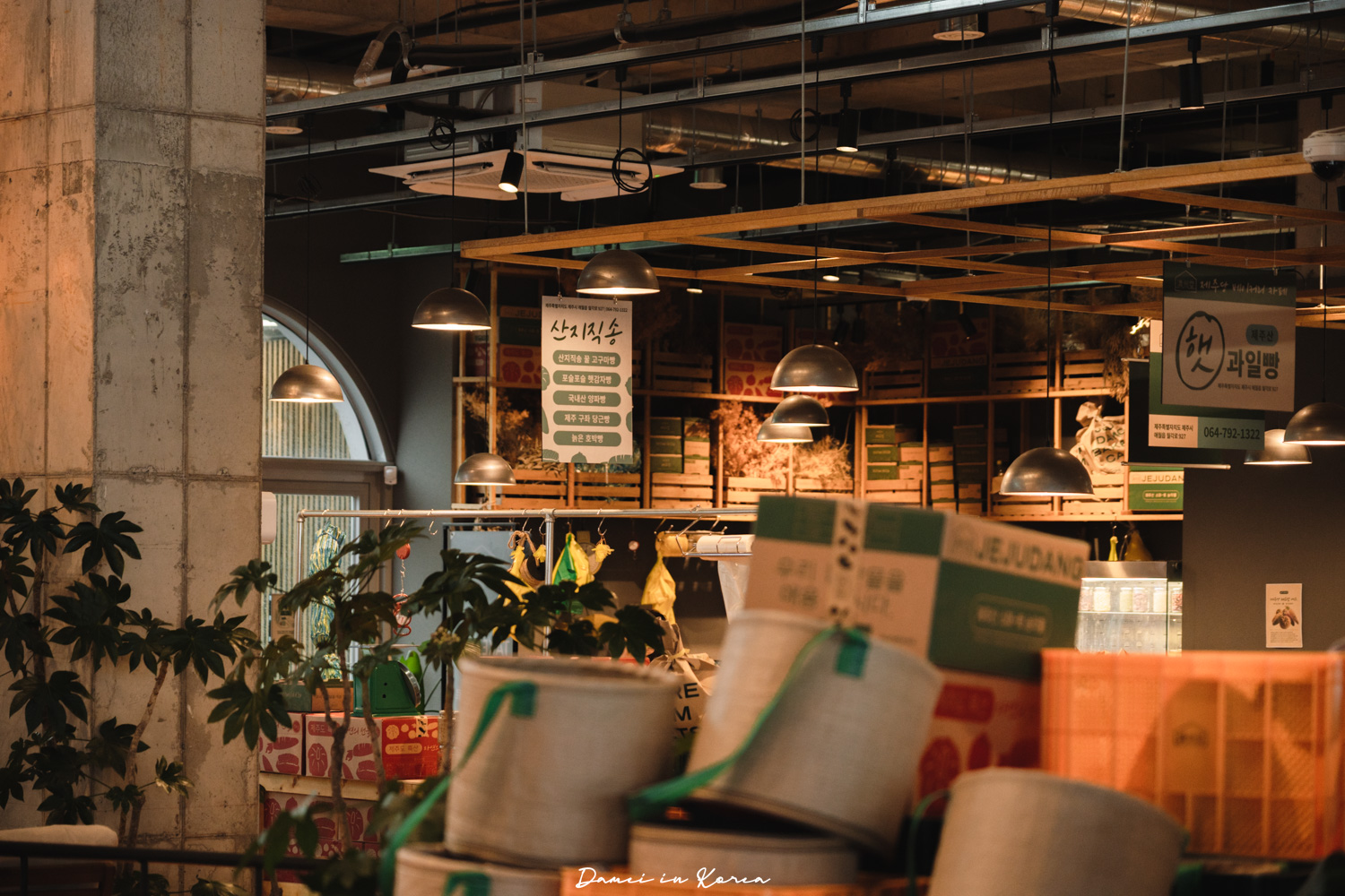 濟州大型咖啡廳推薦!濟州堂 Jejudang Bakery Café-逼真的農作物麵包,宛如走進農園的室內空間 - 第15張圖 濟州大型咖啡廳推薦!濟州堂 Jejudang Bakery Café-逼真的農作物麵包,宛如走進農園的室內空間