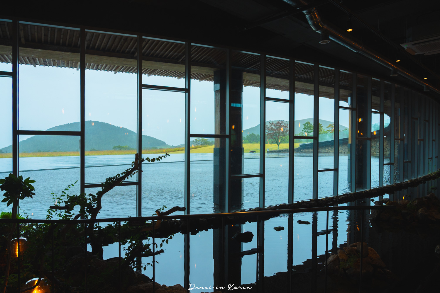 濟州大型咖啡廳推薦!濟州堂 Jejudang Bakery Café-逼真的農作物麵包,宛如走進農園的室內空間 - 第5張圖 濟州大型咖啡廳推薦!濟州堂 Jejudang Bakery Café-逼真的農作物麵包,宛如走進農園的室內空間