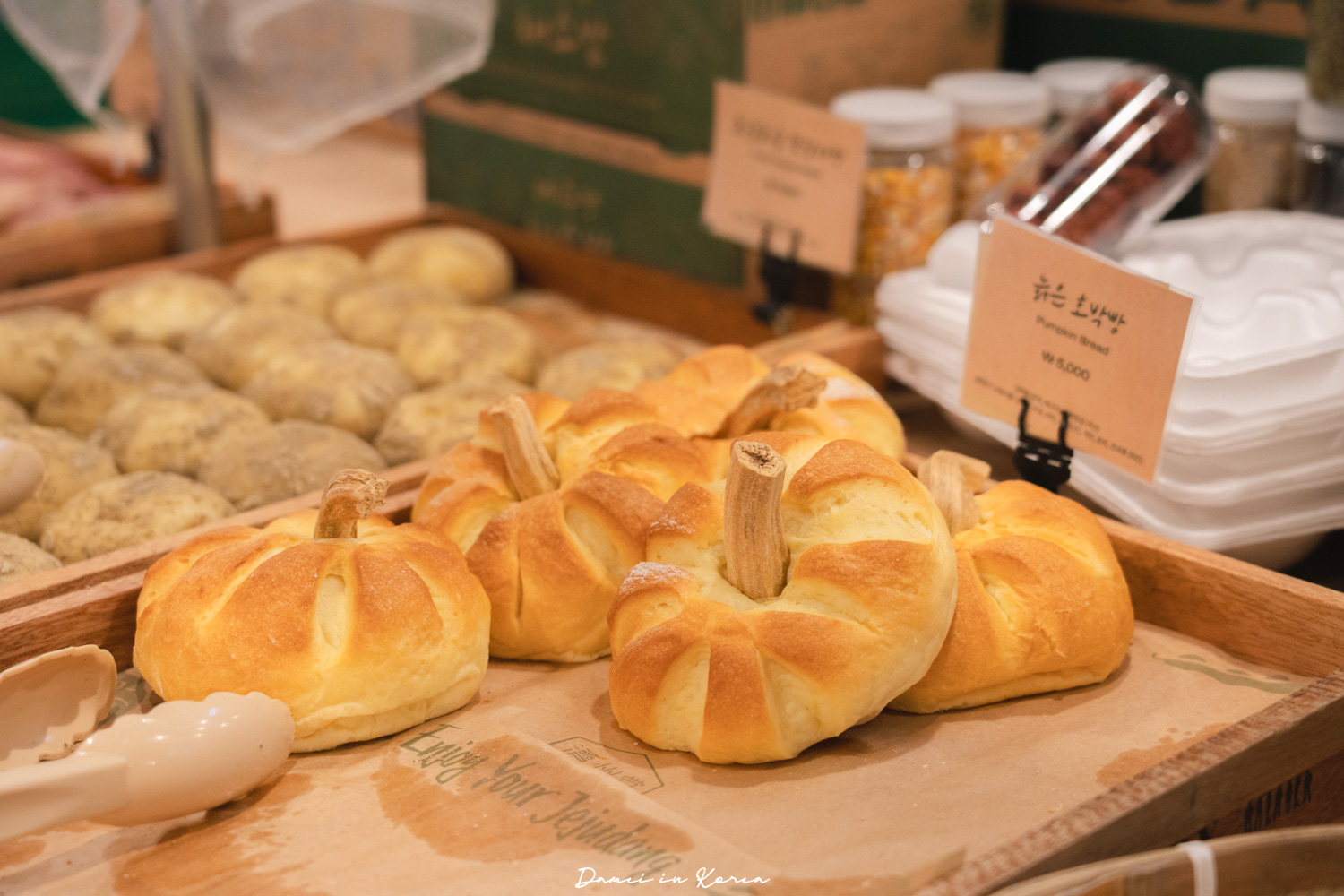 濟州大型咖啡廳推薦!濟州堂 Jejudang Bakery Café-逼真的農作物麵包,宛如走進農園的室內空間 - 第22張圖 濟州大型咖啡廳推薦!濟州堂 Jejudang Bakery Café-逼真的農作物麵包,宛如走進農園的室內空間