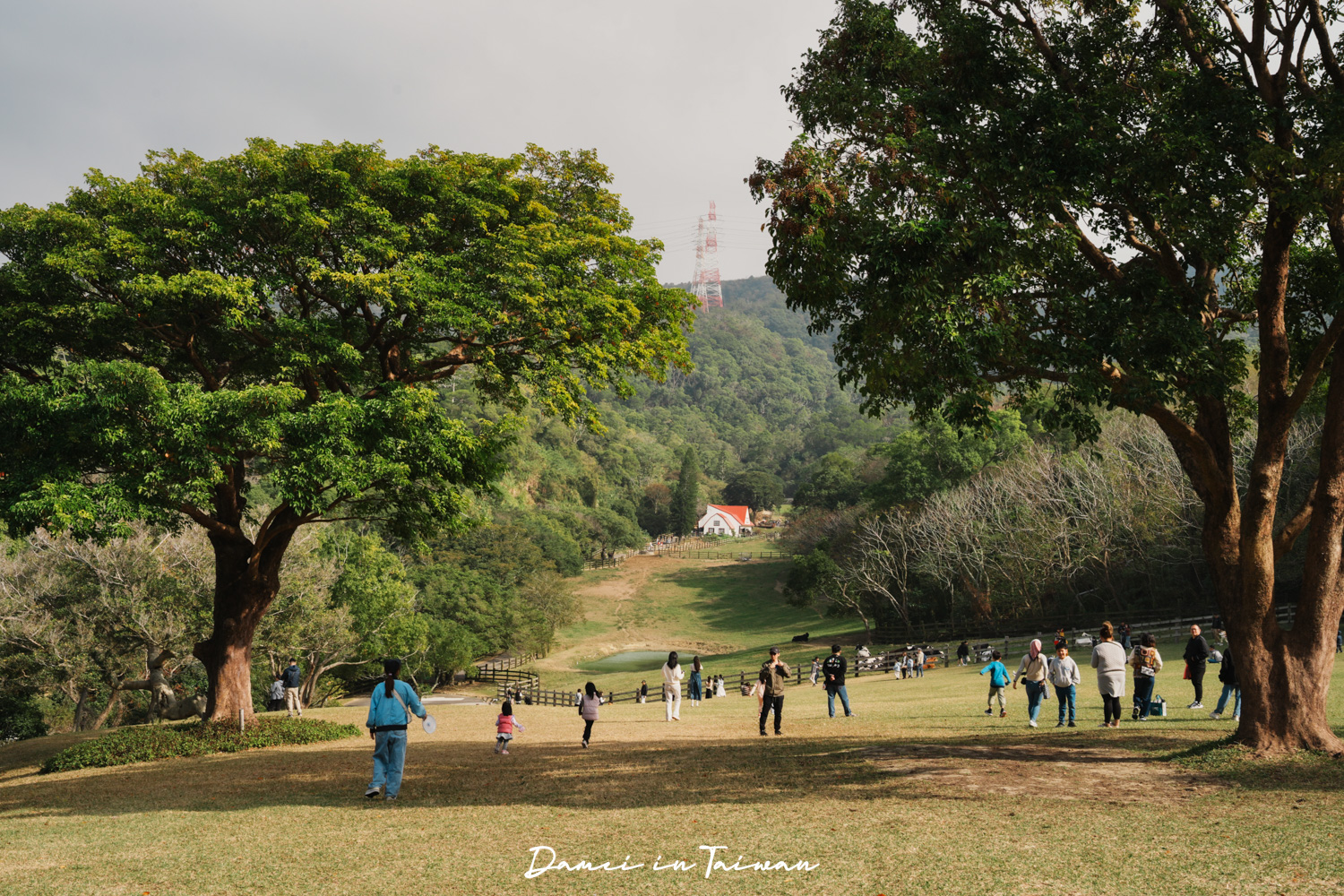 苗栗通霄景點「飛牛牧場」好玩嗎？門票、餐飲一次分享